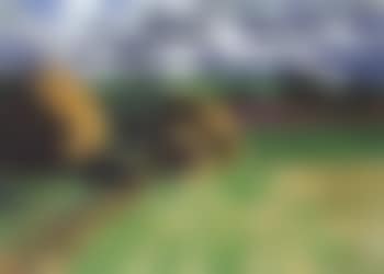 Landscape, Bornholm (preview)