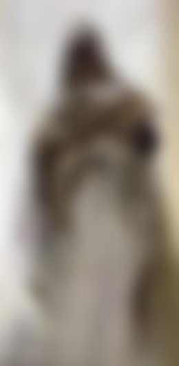 Le jeune berger (preview)