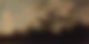 Paysage (preview)