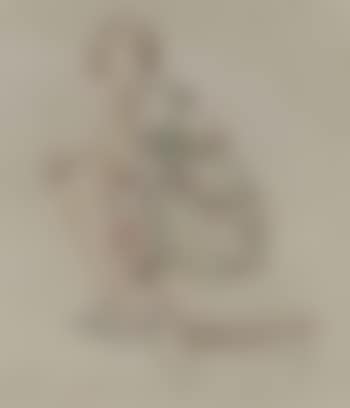 Barberina (preview)
