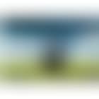 Visions of Mexico (preview)