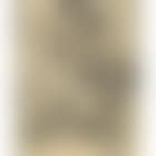 Portrait of a Husain (preview)