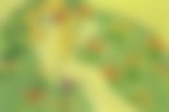 Nude on a bed of flowers (preview)