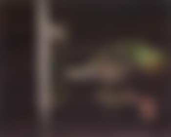 Glenrowan nocturne (preview)