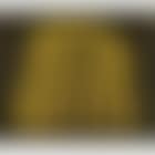 Kabocha, pumpkin (preview)