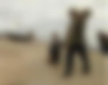 Fisherman and boy on the beach at Skagen (preview)