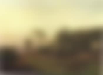 Evening on the outskirts of forest (preview)