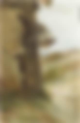 Dune landscape with lamp on a cabin (preview)
