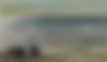 Two young men looking out to sea (preview)