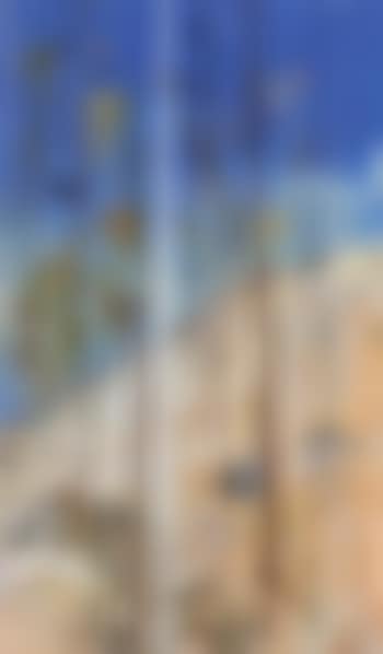 Shoalhaven landscape (preview)
