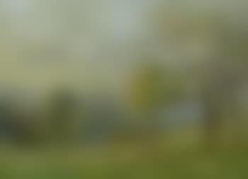 Springtime (preview)