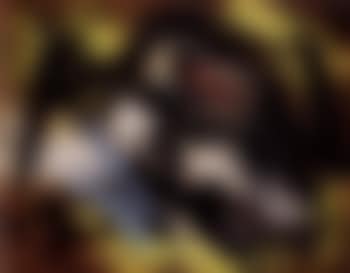 Opus 85D (preview)