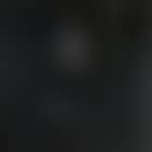Grande chambre XIX (preview)