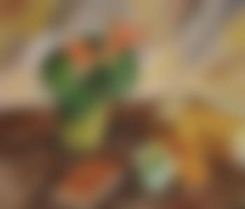 Begonia, orange and cigar box (preview)
