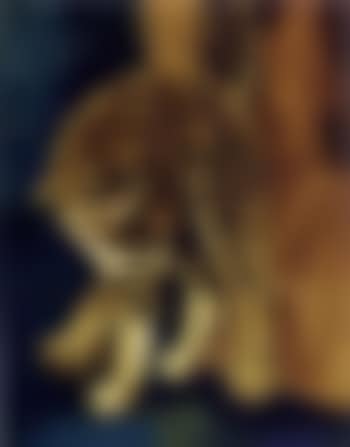 A cat (preview)