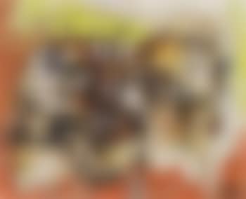 Composition (preview)