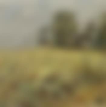 Landscape, Bornholm (preview)