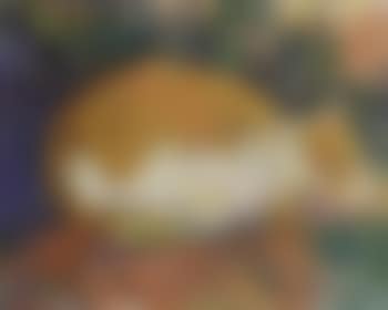 Sleeping cat (preview)