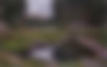Woodland landscape with lake (preview)