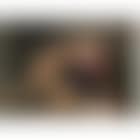 Roman Charity (preview)