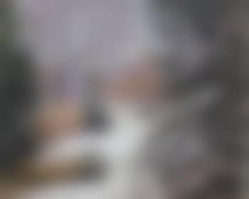 Paysage de neige (preview)