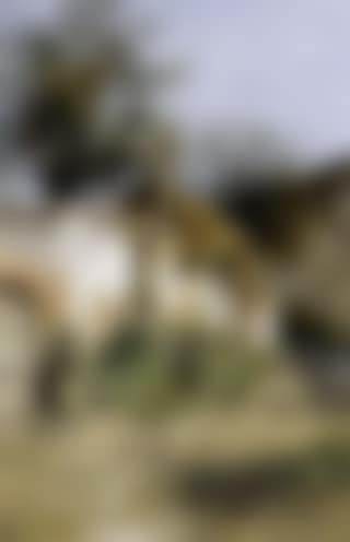 Farmyard (preview)