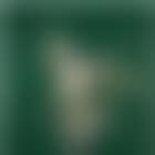 Self-portrait, green camouflage (preview)