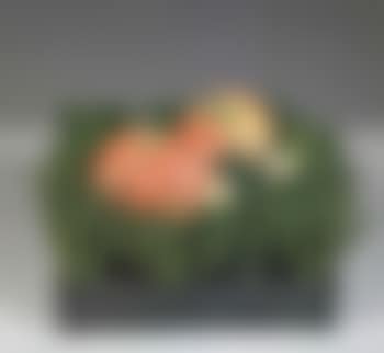 Pesche cadute (preview)