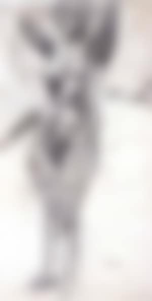 Staand naakt (preview)