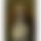 King Charles spaniel with a blue ribbon (preview)