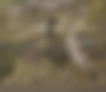 Ducks by a pond with stylised flowers and distant village (preview)