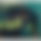 Still life (preview)