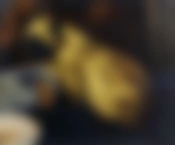 Le chat siamois (preview)