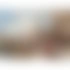 The carnival, Venice (preview)