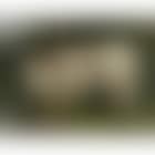 Le veau blanc (preview)