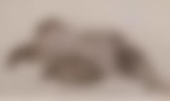Desnuda (preview)