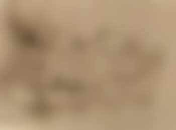 Woman in bed (preview)