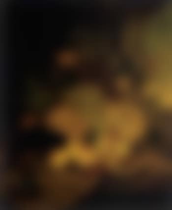 Still life with grapes, peaches and pineapple (preview)