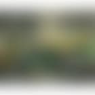 Vert, je te veux vert (preview)