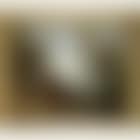 Landscape with cattle (preview)