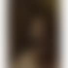 Portrait of J Moseley Esquire of Suffolk (preview)