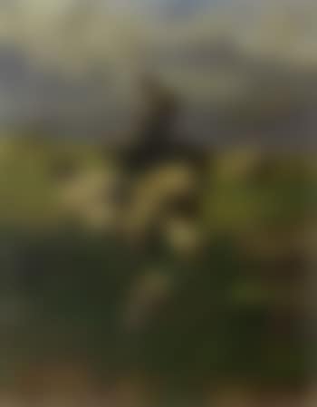 Girl with sheep in alpine meadow (preview)