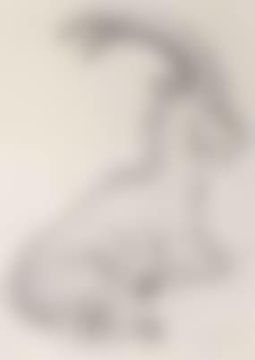 Mountain goat (preview)