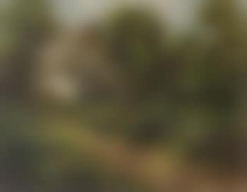 Country garden (preview)