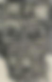 Head (preview)