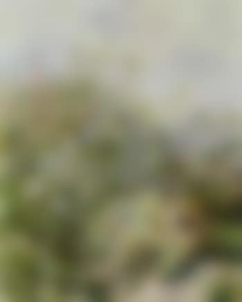 Meadow flowers (preview)