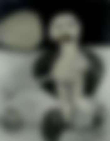 Little cripple (preview)