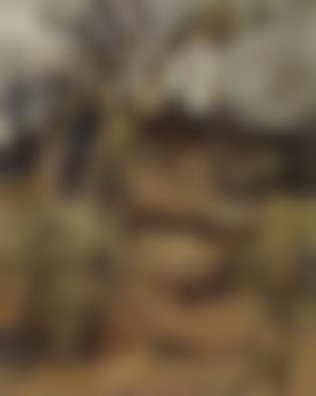 Paysage a l'echelle (preview)