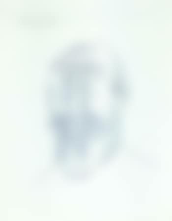 Head of a gentleman (preview)