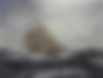 Star of Persia (preview)